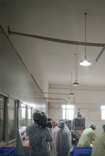 祝贺宜昌华尔食品公司荣获市食品示范企业称号，引领饼干行业新发展